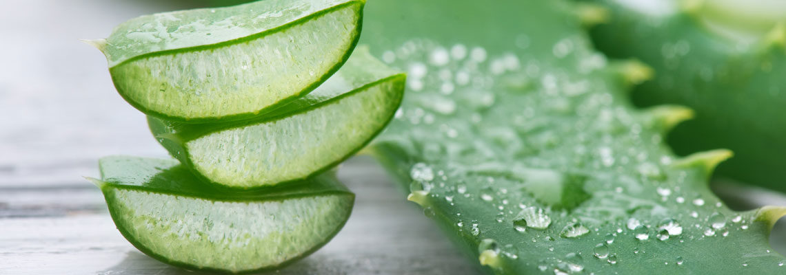 Aloe Vera